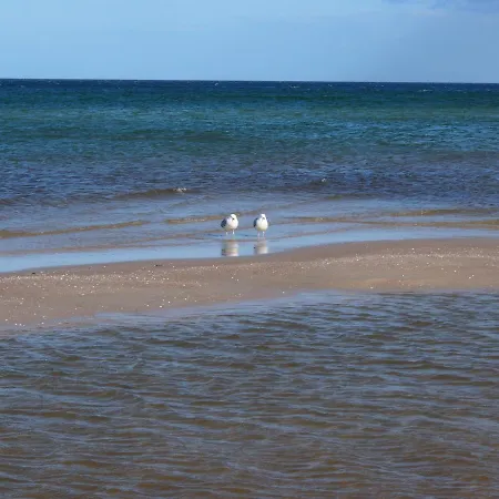 Daire Sirene Whg 12 Meerblick - 5 Sterne