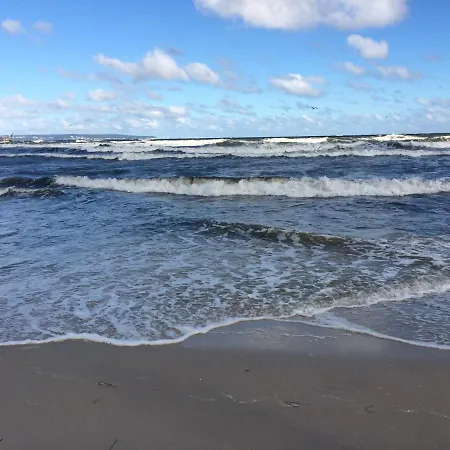 Sirene Whg 12 Meerblick - 5 Sterne Διαμέρισμα *