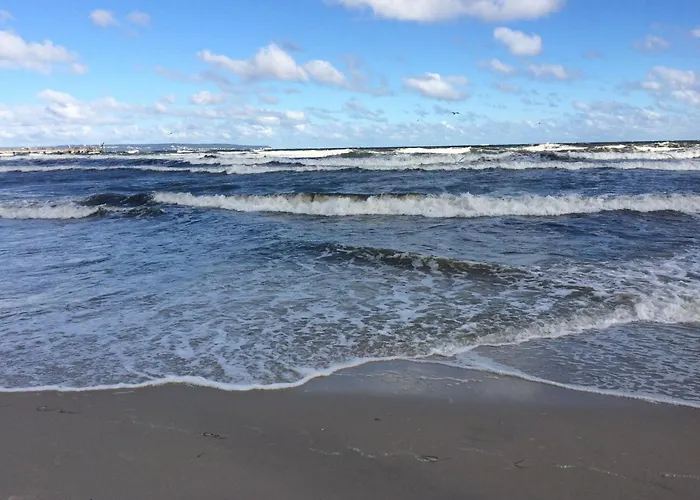 Sirene Whg 12 Meerblick - 5 Sterne 아파트 *